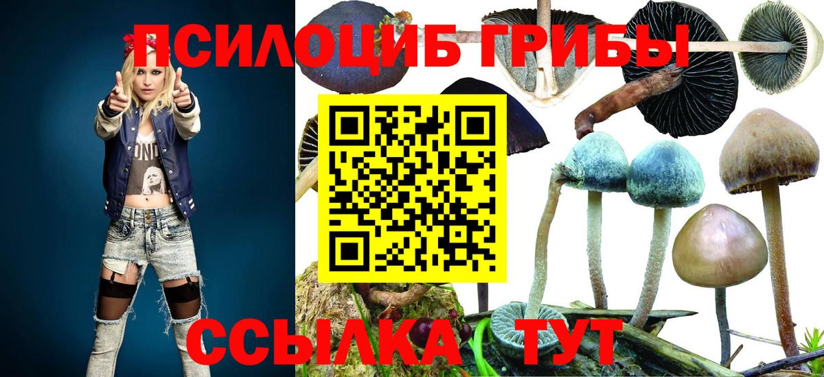 Бугульма  Псилоцибиновые грибы Psilocybine cubensis  купить наркоту  Вход с VPN 