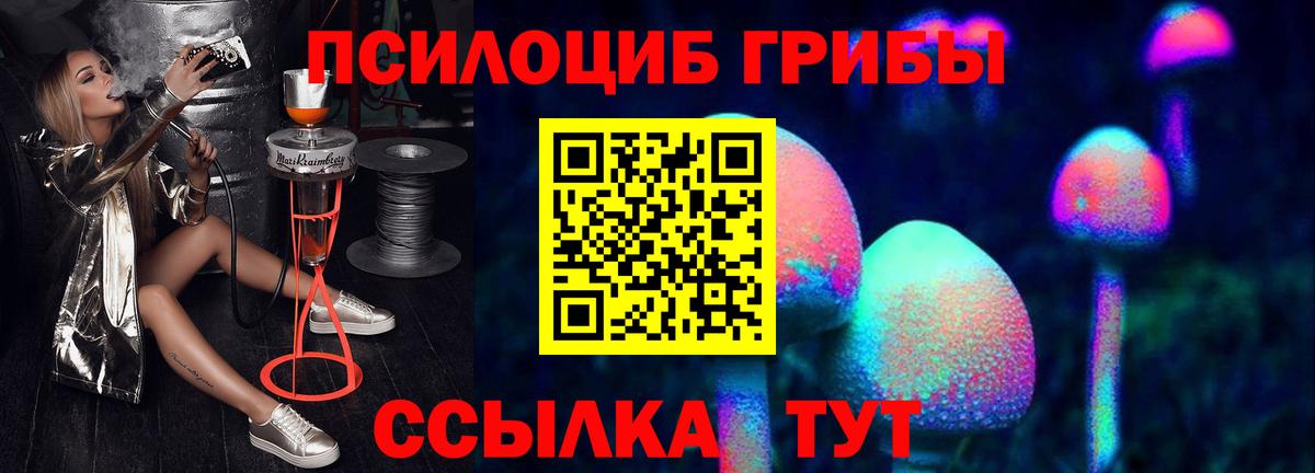 Галлюциногенные грибы GOLDEN TEACHER Бугульма